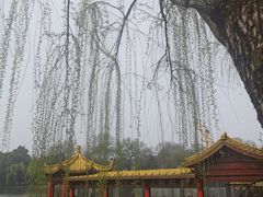 -西湖游船