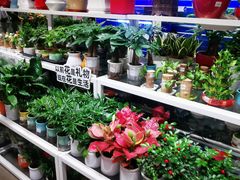 -大润发(南湖店)
