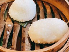 茨毛圆子-双塔老饭店