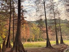 -广州市白云山风景名胜区
