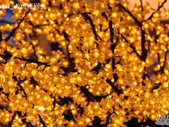 02、-小白楼1902欧式风情街