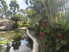 -鼓浪屿钢琴博物馆