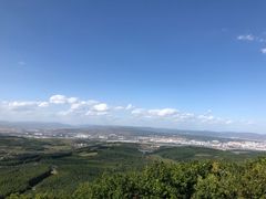-木子烧鸟屋(百子湾店)