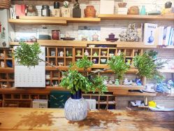 -今日陶艺(富力广场店)