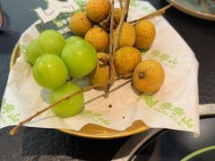 -季季山·云南野生菌火锅(上海首店)