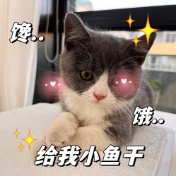 -糖·美学·美甲