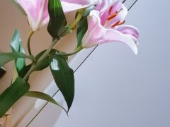 -汕头中海黄金海岸水上乐园