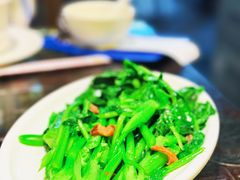 -吴记富苑(朝阳店)