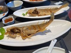 -望乡楼上海菜(日月光店)