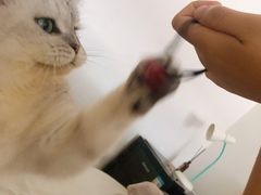 -中海环宇荟