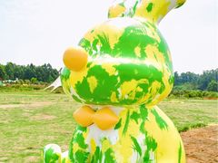 -空港花田景区