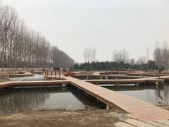 -东郊湿地公园