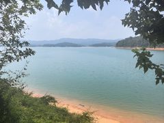 -广州市流溪河国家森林公园