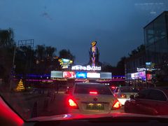 -枫花园汽车电影院(朝阳公园店)