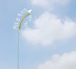 -晶奕空间专业脱毛连锁机构