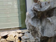 -丫丫蟹庄·苏式园林农家乐·阳澄湖大闸蟹(阳澄湖莲花岛店)