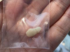 -茂菊口腔连锁(浦东南路店)