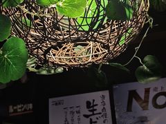 -日本料理神拉面