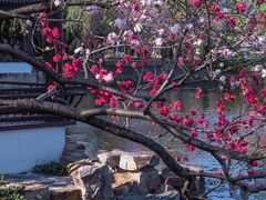 -燕郊植物园
