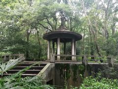 -紫霞湖公园