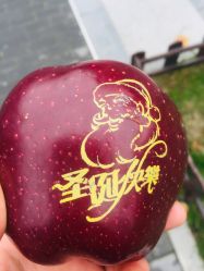 -FUTURE HN男士发型风格设计