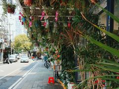 -溪岸路花鸟市场