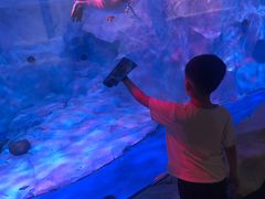 -芜湖新华联大白鲸海洋公园