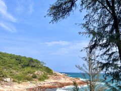 -广东惠东海龟国家级自然保护区