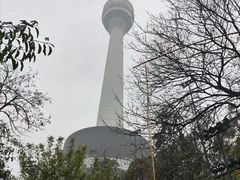 -龟山风景区-龟山电视塔