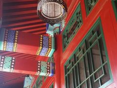 -百好乐宠物友好餐厅(朝外大街店)