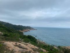 -广东惠东海龟国家级自然保护区