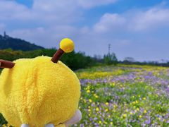 -苏州上方山国家森林公园