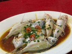 -隆都四季香饭店(碧海路店)