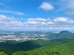 -东莞市大岭山森林公园