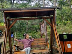 -大岭沟猕猴桃谷风景区