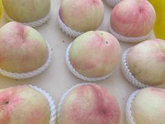 -老袁家蜜桃农场·阳山水蜜桃