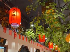 -成老灶火锅鸡(平山店)