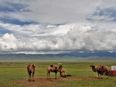 -青海湖国家重点风景名胜区