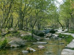 -玉渡山自然风景区
