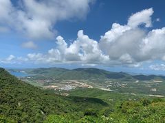 -三亚亚龙湾人间天堂鸟巢度假村