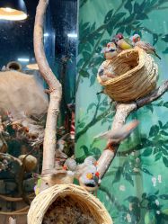 -Zoolung Zoolung动物主题公园(海信广场店)