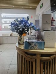 -薇薇安花系SPA