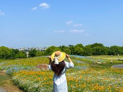 -径山花海