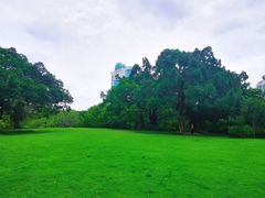 -南宁南湖公园