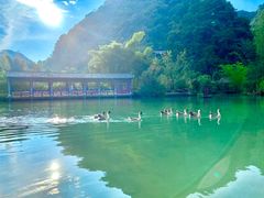 -靖西鹅泉风景区