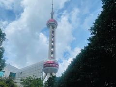 -上海海洋水族馆