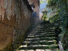 -杨家堂村