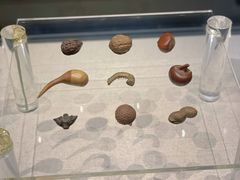 -汕头市博物馆