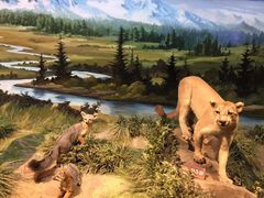 -陕西自然博物馆