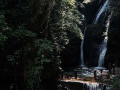 -青城山